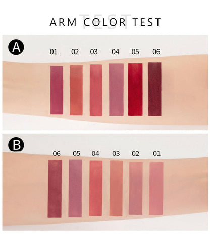 Set Labiales x 6